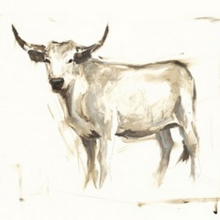 White Cattle II