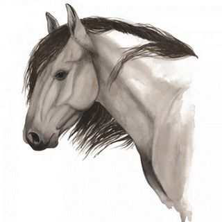 Wild Horse II