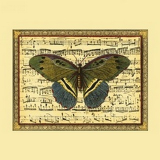 Butterfly Harmony II