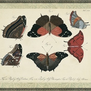 Bookplate Butterflies Trio II