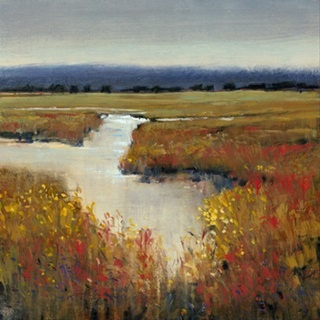 Marsh Land I
