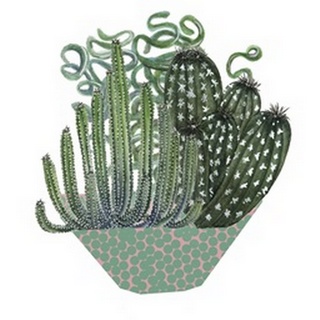 Cactus Arrangement II