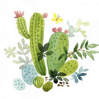 Happy Cactus III