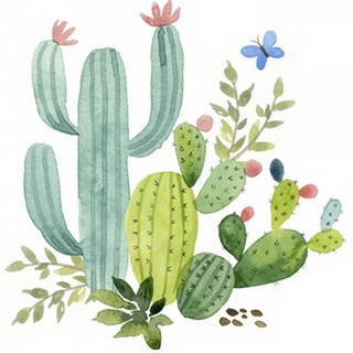 Happy Cactus IV