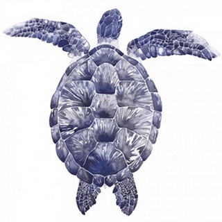Marine Turtle I