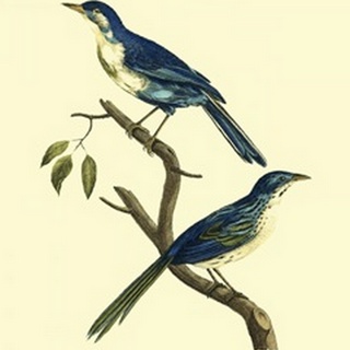 Vintage Bird Pair II