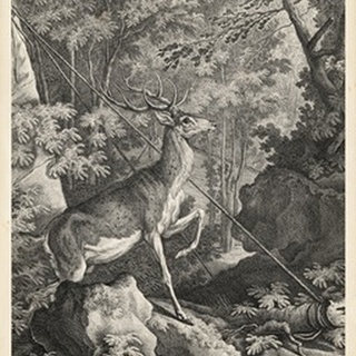 Woodland Deer VII