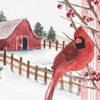 Winter Cardinal Collection A