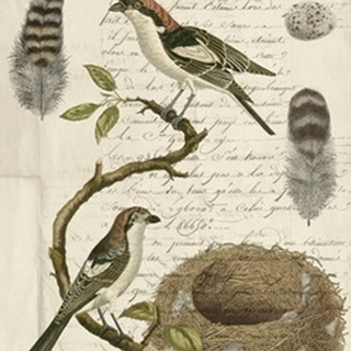 Avian Journal I