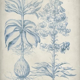 Blue Fresco Floral II