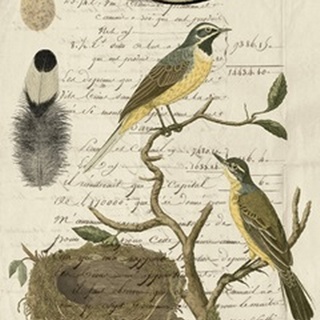 Avian Journal II
