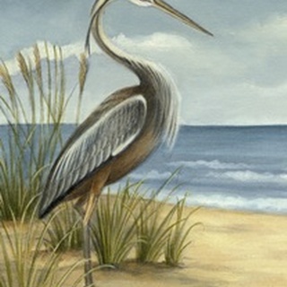 Shore Bird I