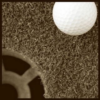 Sepia Golf Ball Study II