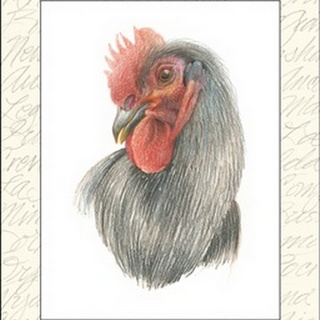 Rooster Insets IV