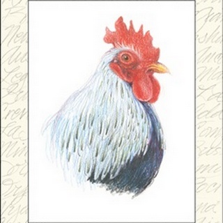 Rooster Insets II