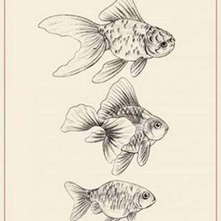Goldfish III