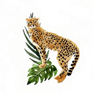 Cheetah Outlook II