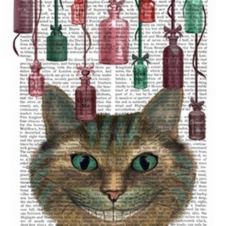 Cheshire Cat and Bottles