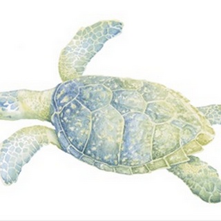 Tranquil Sea Turtle II