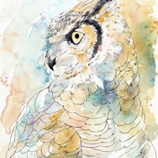 Owl Majestic I