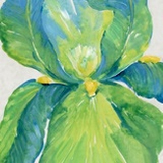 Iris Bloom in Green I