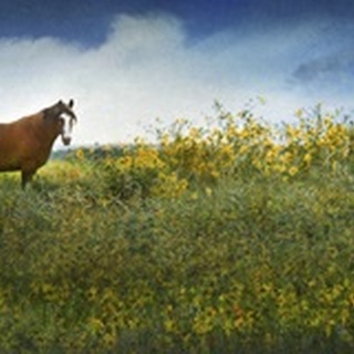 Horse in Flowers I
