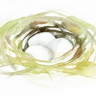 Watercolor Nest II