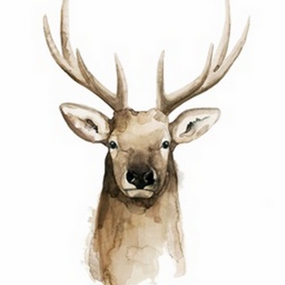 Watercolor Elk Portrait II