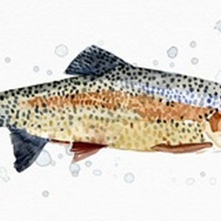 Watercolor Rainbow Trout I