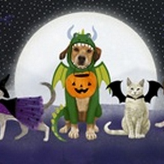 Halloween Pets Collection D