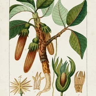Turpin Foliage & Fruit I