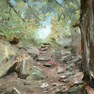 Trail in Woods