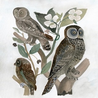 Traditional Owls II