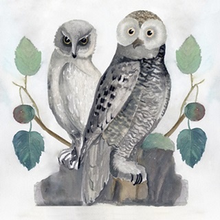 Traditional Owls I