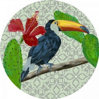 Toucan Tropical Collection E