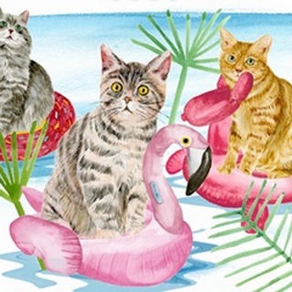 Summer Purr Party Collection A