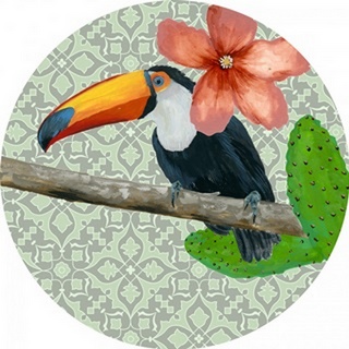 Toucan Tropical Collection G