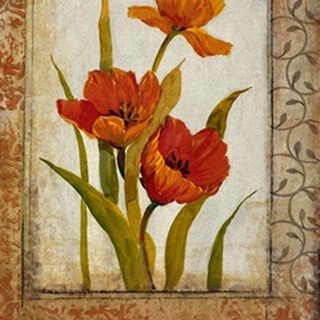 Tulip Inset II