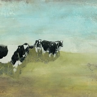 Country Drive Cows II