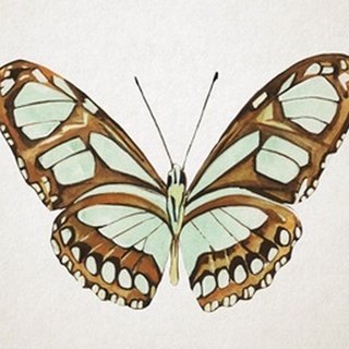 Mint Butterfly I