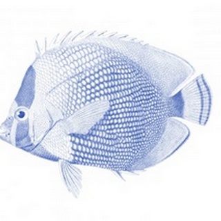 Blue & White Tropical Fish VI