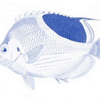 Blue & White Tropical Fish I