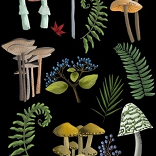 Natural Mushroom Beauties II