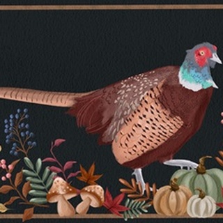 Autumn Pheasant I