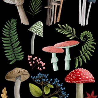 Natural Mushroom Beauties I