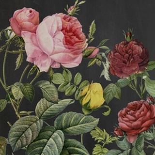 Redoute's Bouquet I
