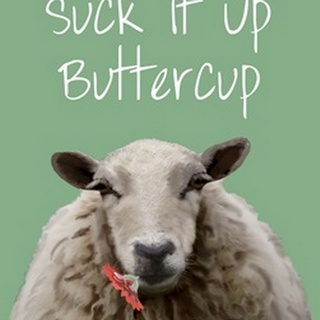 Suck It Up Buttercup Sheep Print