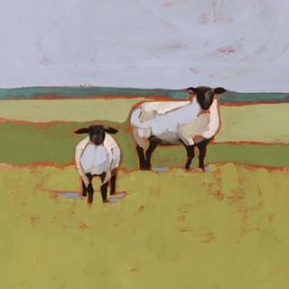 Suffolk Sheep II