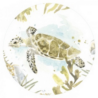 Watercolor Sea Turtle Study Collection C