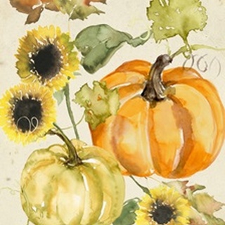 Watercolor Harvest Collection B